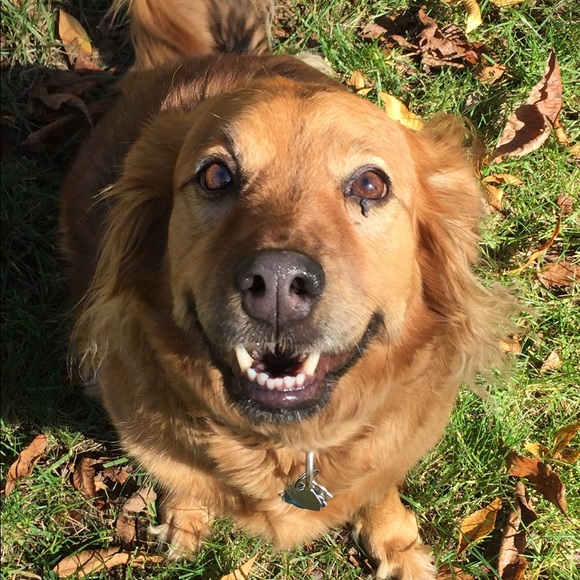 Nat & Miss. Tituba, the fortune telling chicken 🔮 - Picture 6 of 8